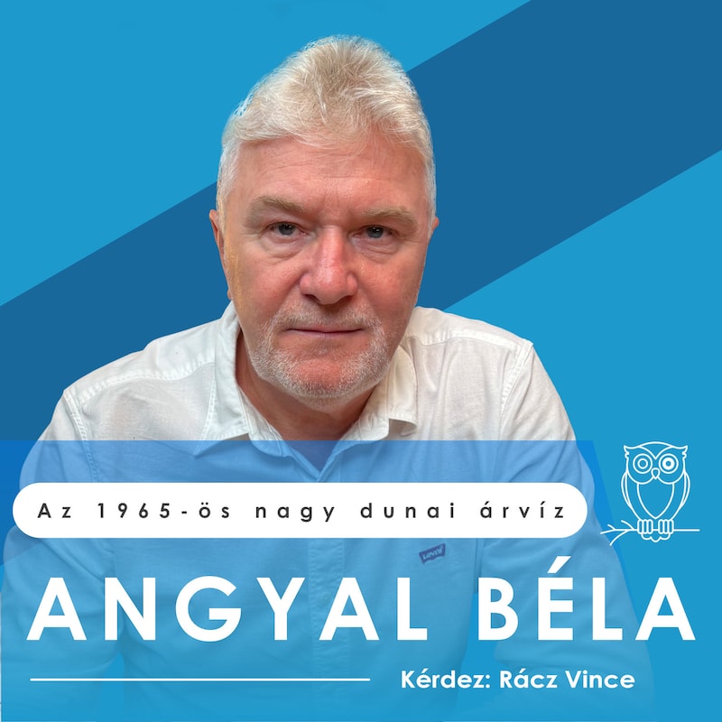Artwork for podcast Bagoly mondja