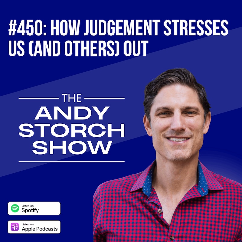 Artwork for podcast The Andy Storch Show (Own Your Career Own Your Life)