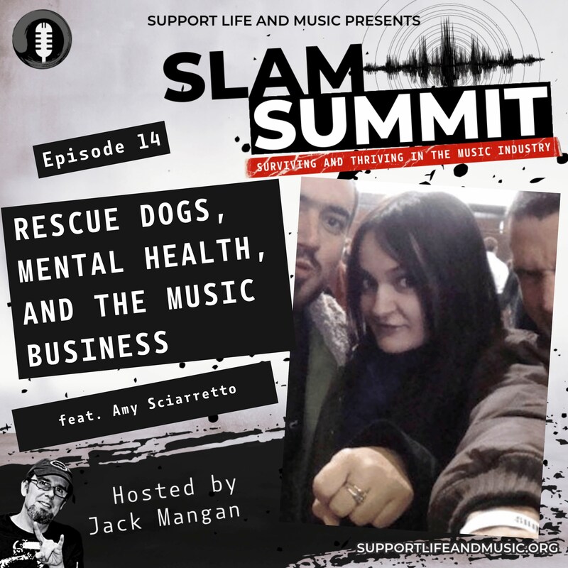 Artwork for podcast SLAM Summit - Surviving and Thriving in the Music Industry