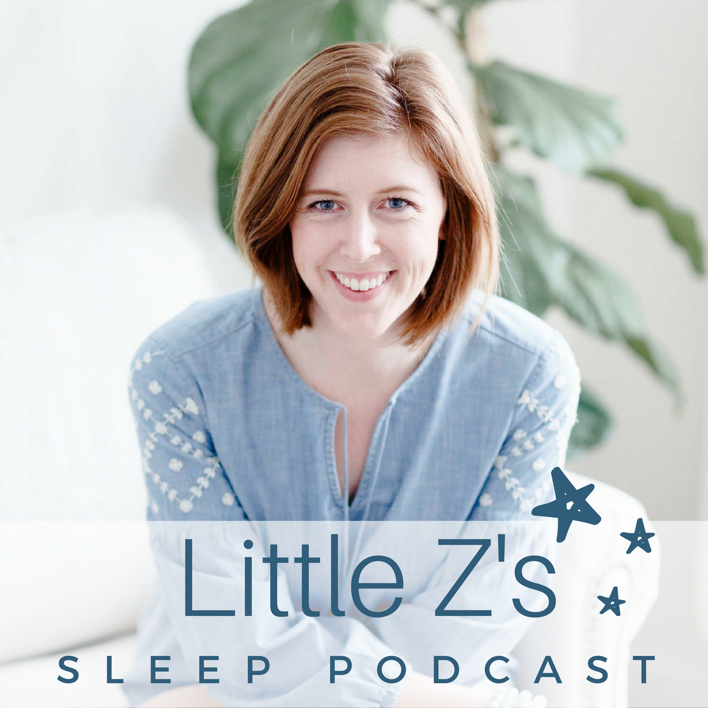 Artwork for podcast Little Z's Sleep Podcast