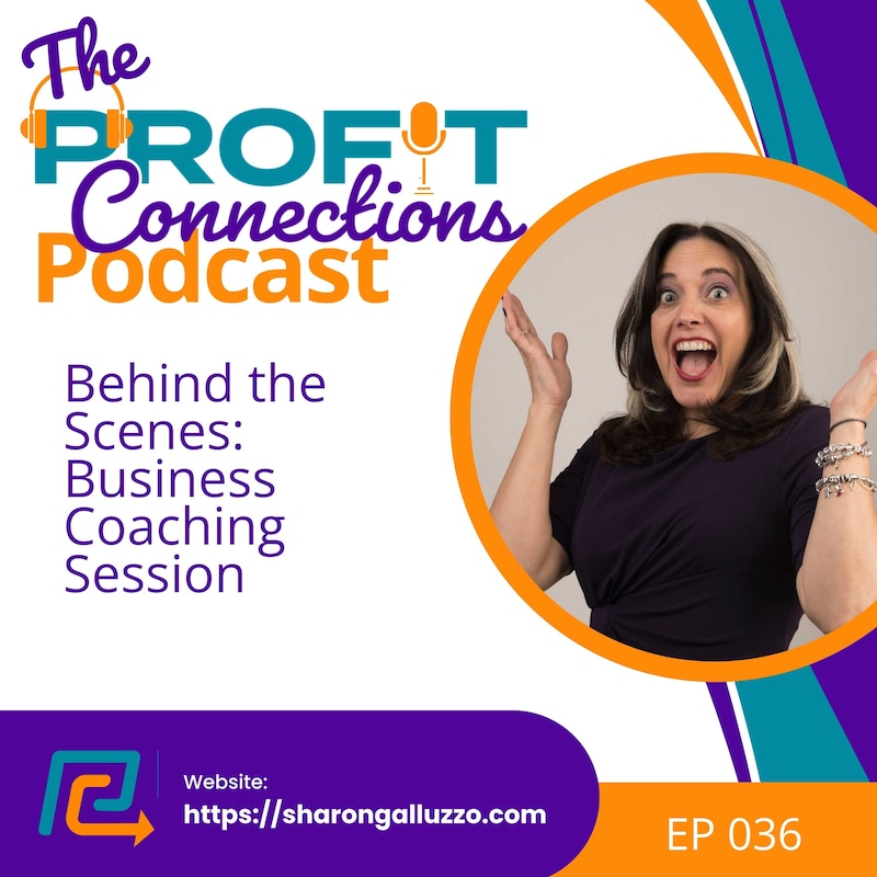 Artwork for podcast The Profit Connections Podcast