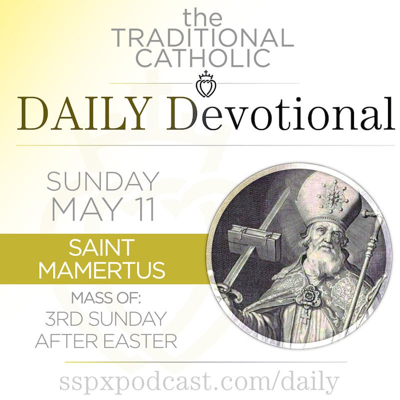 Artwork for podcast Traditional Catholic Daily Devotional