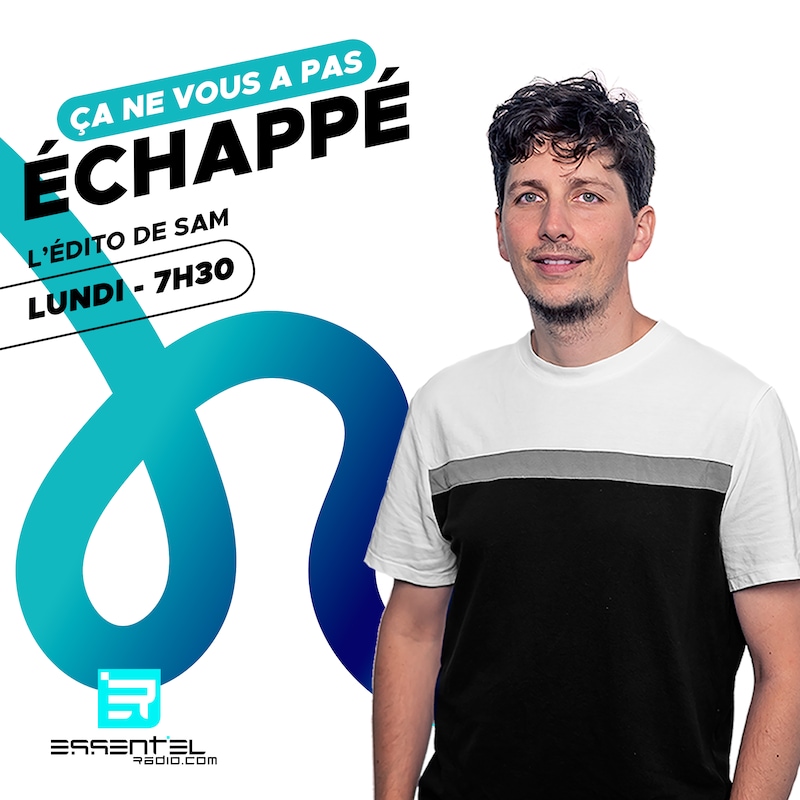 Artwork for podcast Ça ne vous a pas échappé !