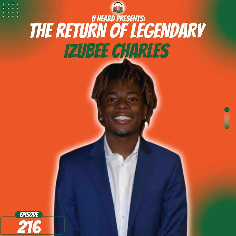 Artwork for podcast U Heard
