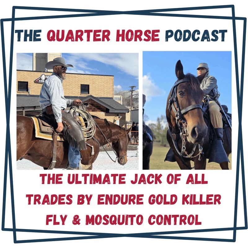 Artwork for podcast The Quarter Horse Podcast