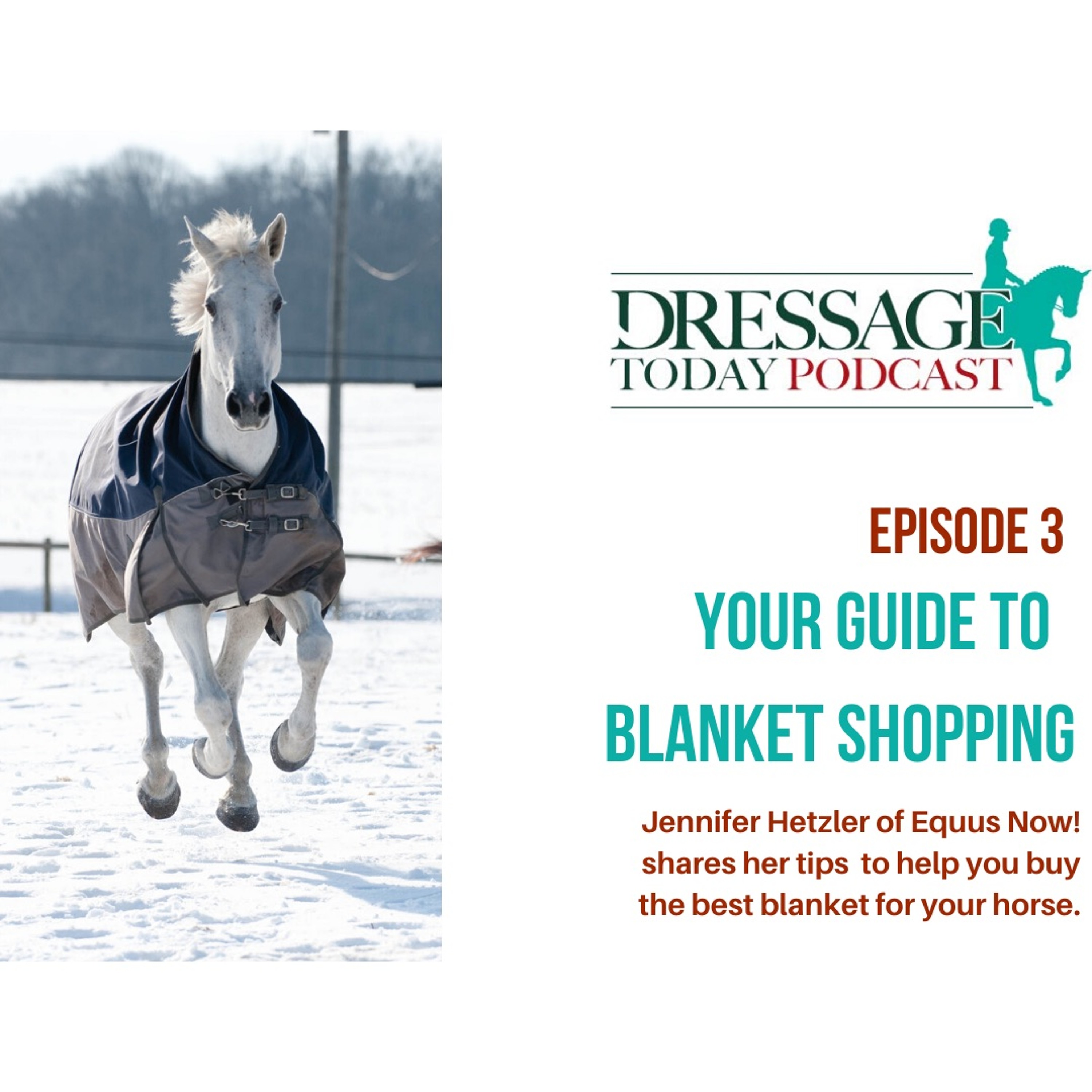 Episode 3: Your Guide to Blanket Shopping with Jennifer Hetzler episode artwork