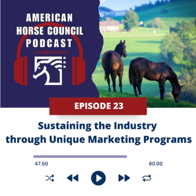 Artwork for podcast HORSES IN THE MORNING