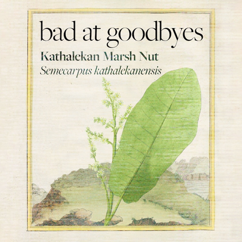 Artwork for podcast Bad at Goodbyes