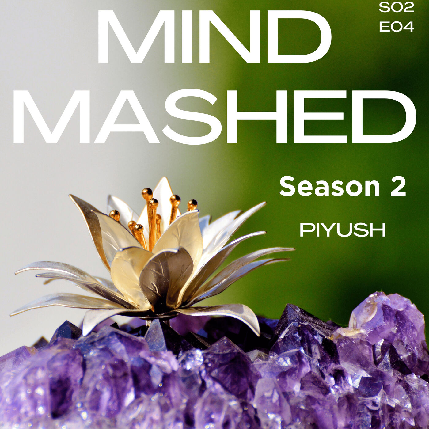 Mind Mashed - A Transformative Mindfulness & 5D Spirituality Podcast