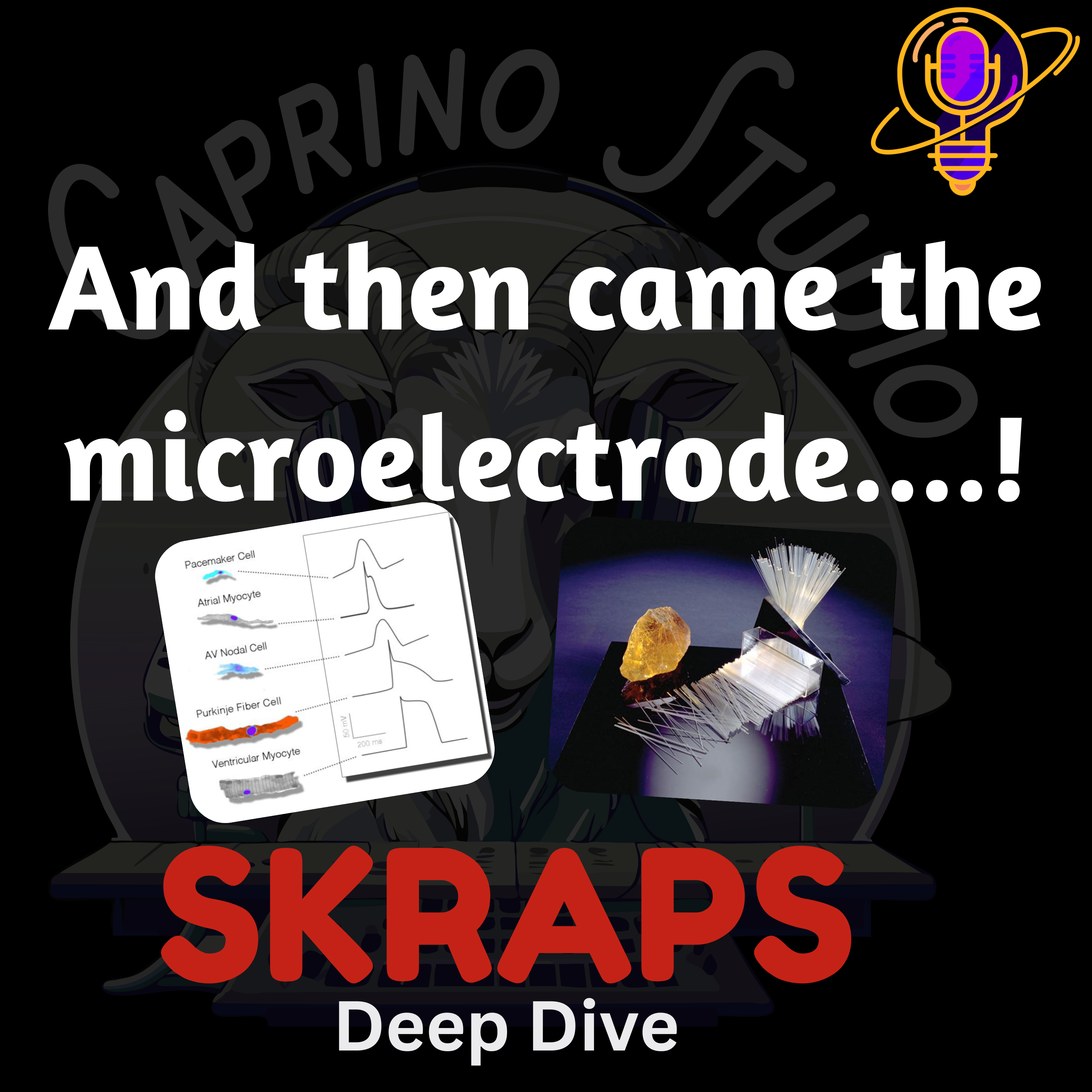 SKRAPS: Deep Dive