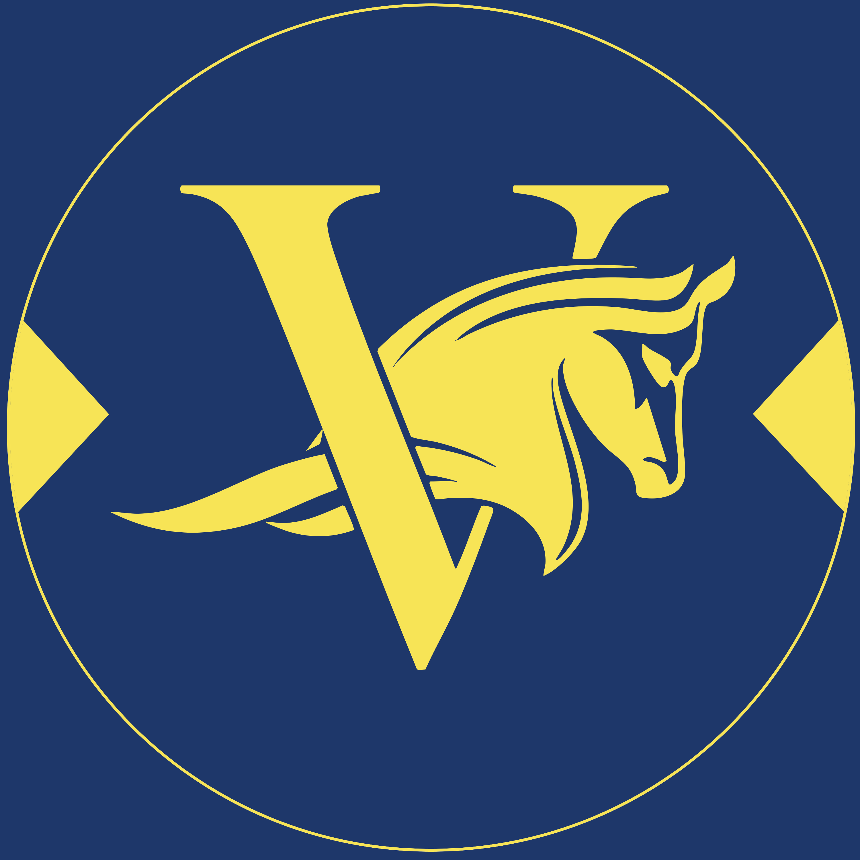 MORE THAN LOOKS - Stallion Podcast - David Ingordo - Cherie DeVaux - Jose Ortiz - Presented by Lane's End