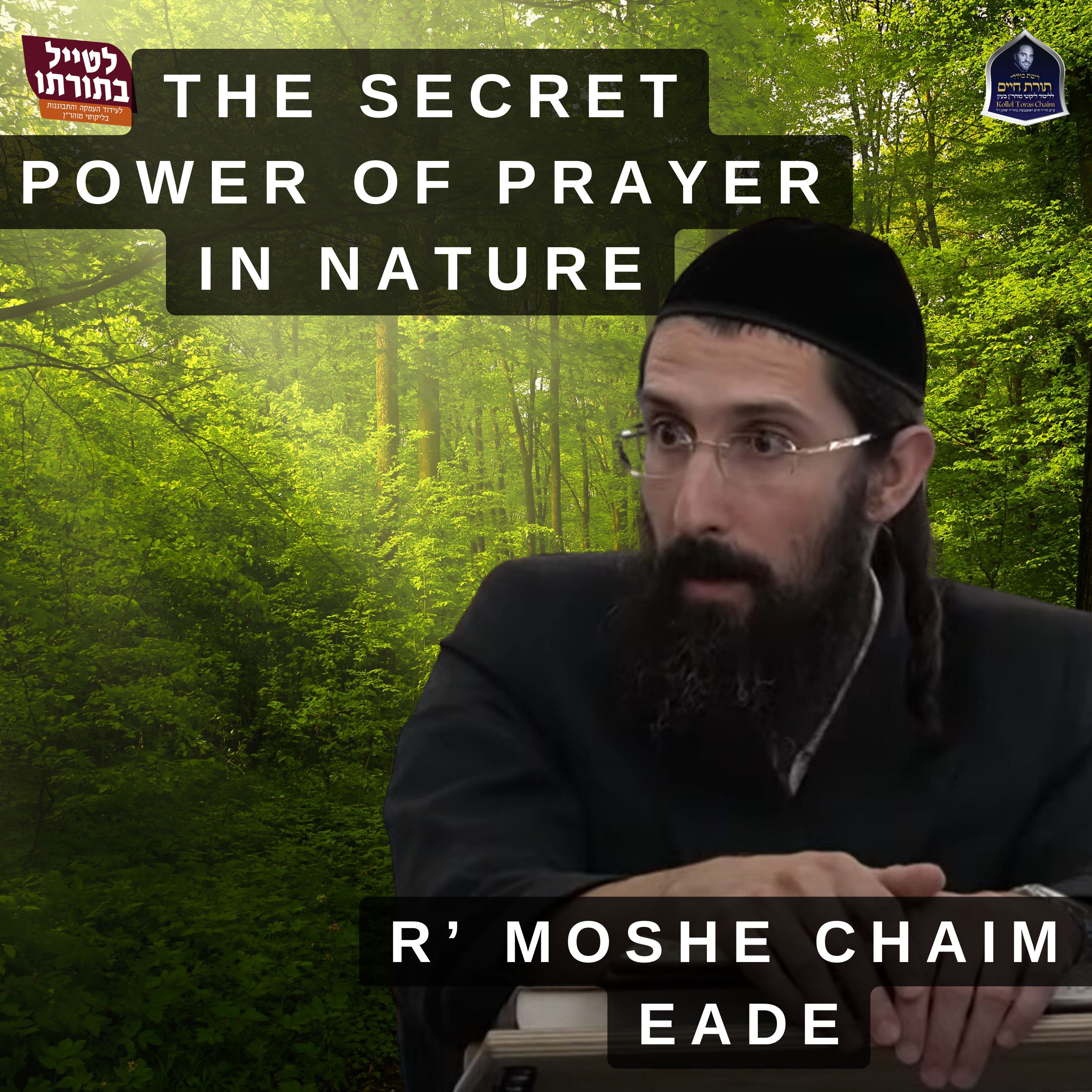 The Secret Power of Prayer in Nature