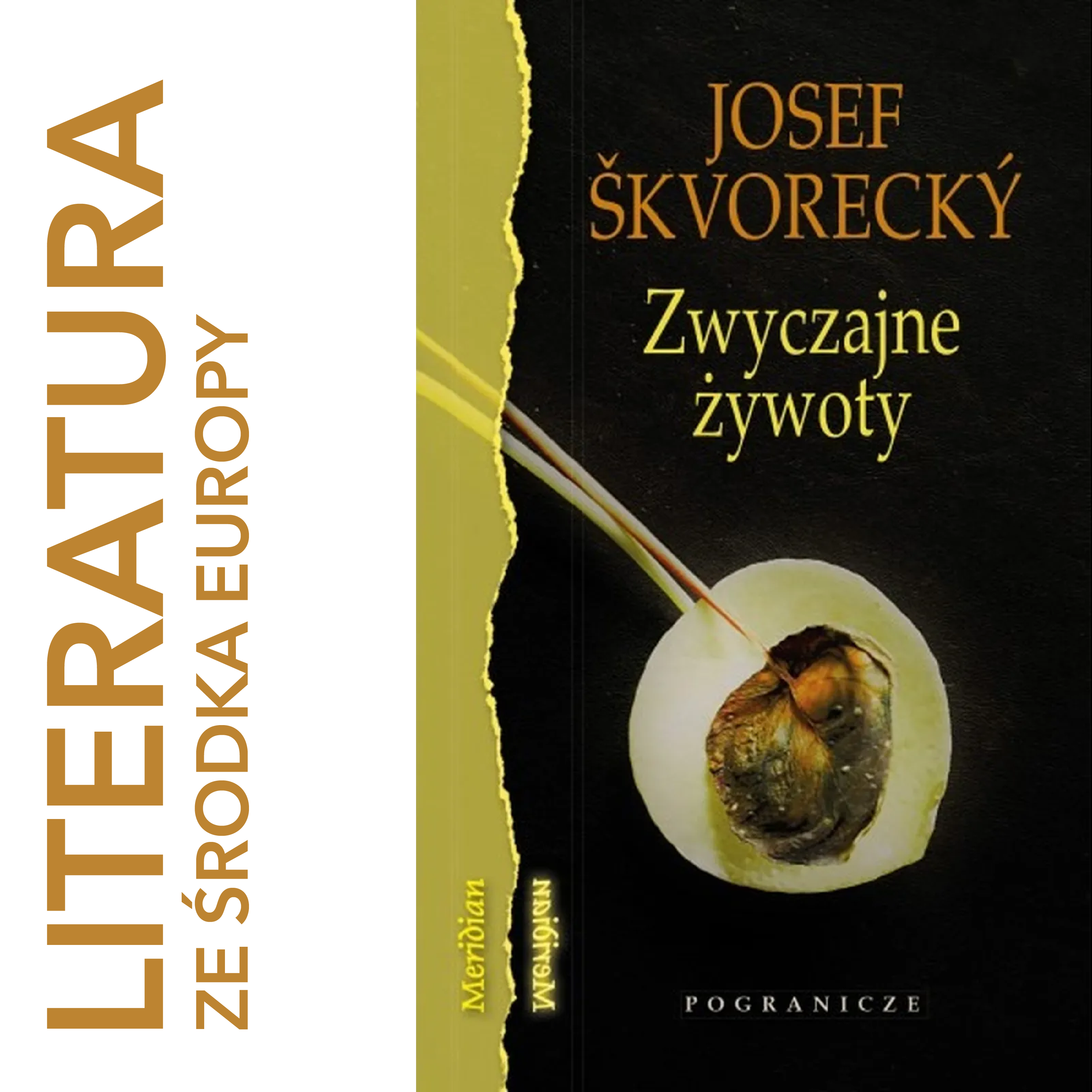 literatura ze środka Europy