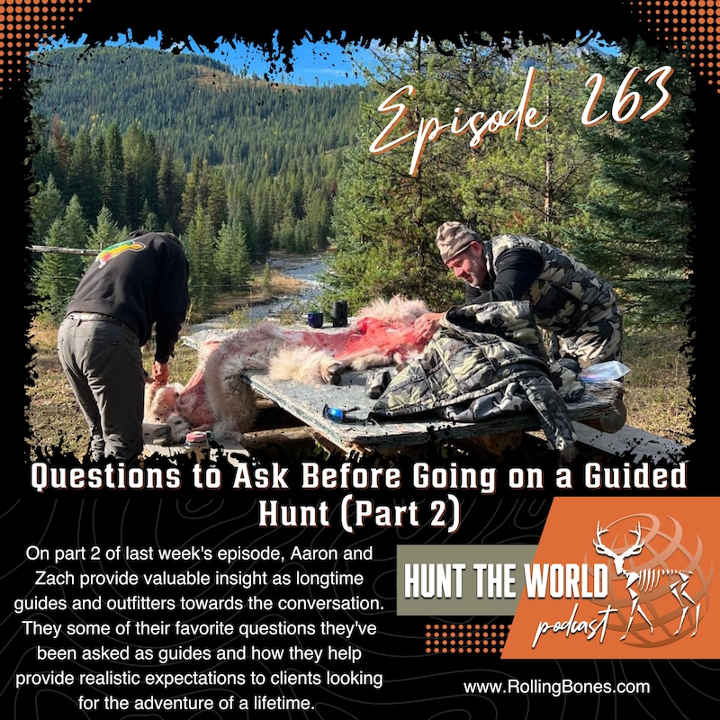 Artwork for podcast Hunt the World