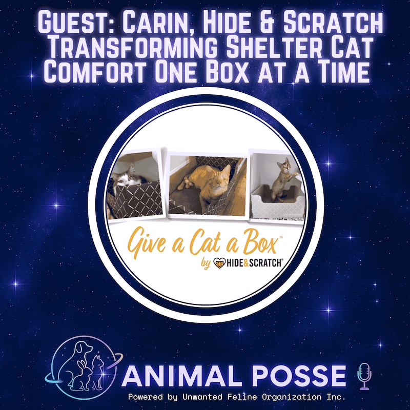 Artwork for podcast Animal Posse
