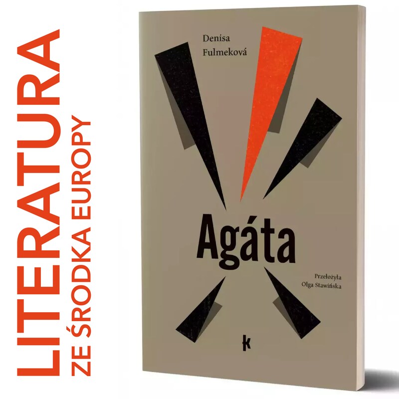 Artwork for podcast literatura ze środka Europy