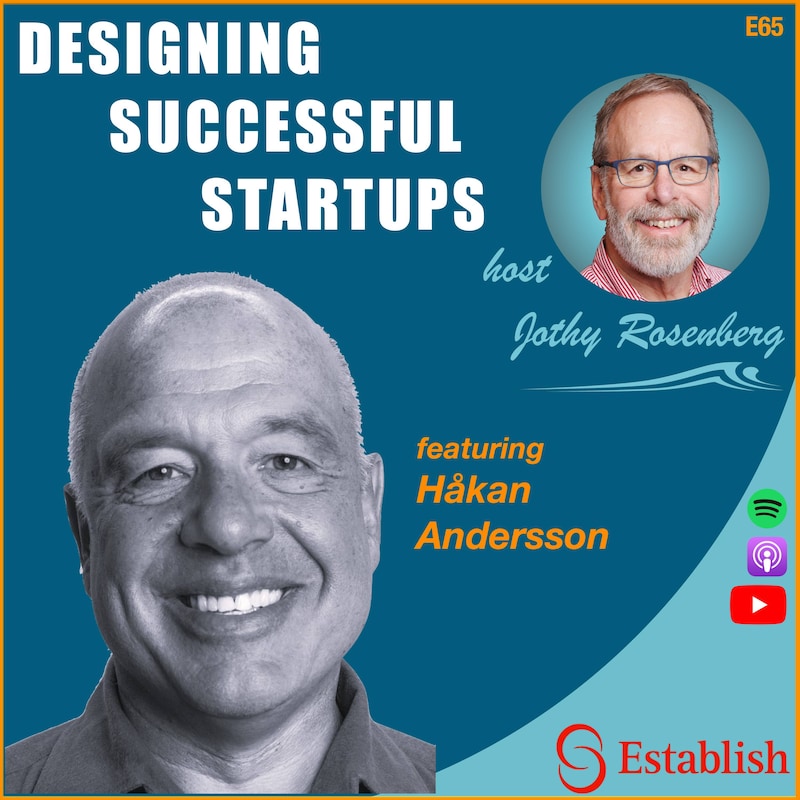 Artwork for podcast Designing Successful Startups