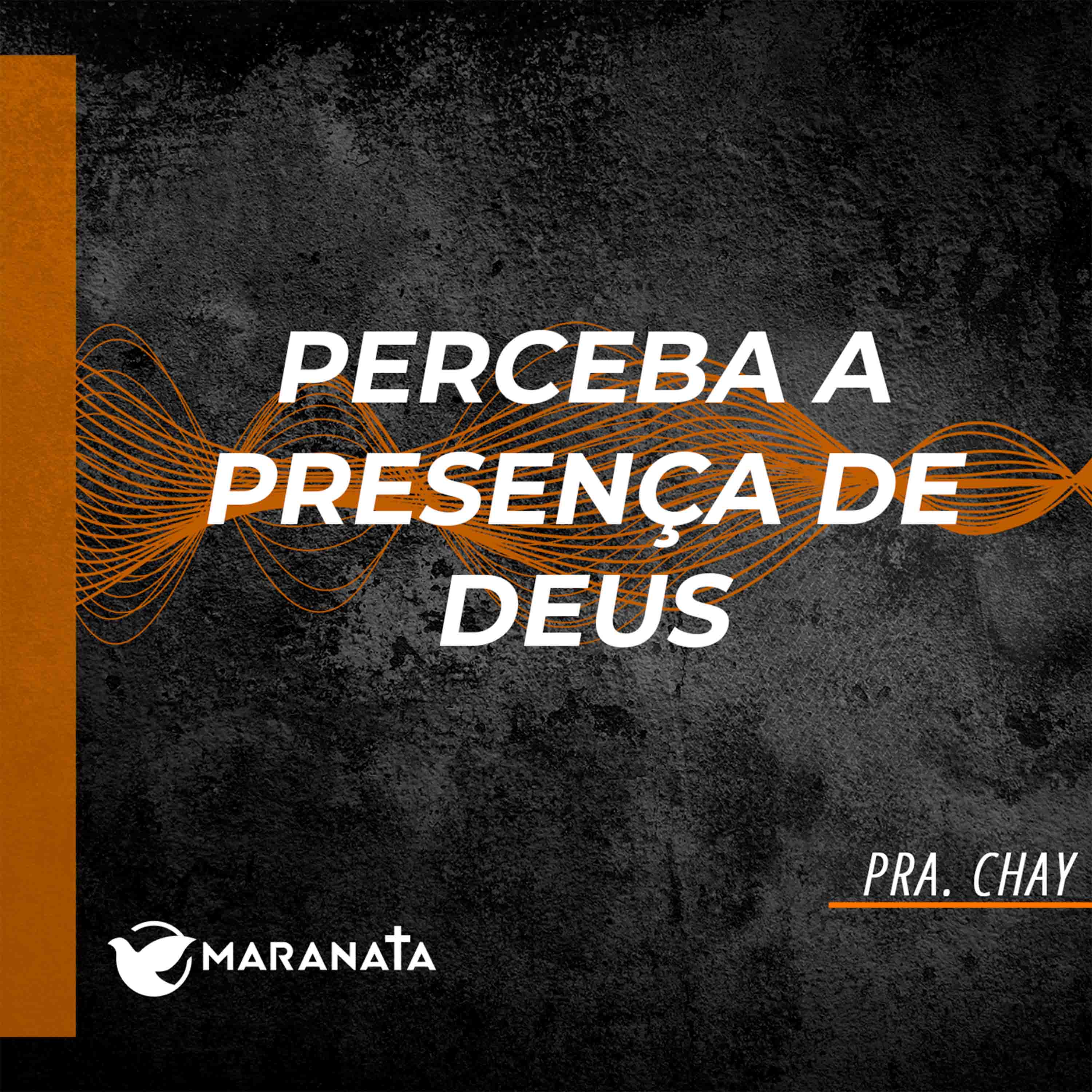 Perceba a presença de Deus - Pra. Chay episode artwork
