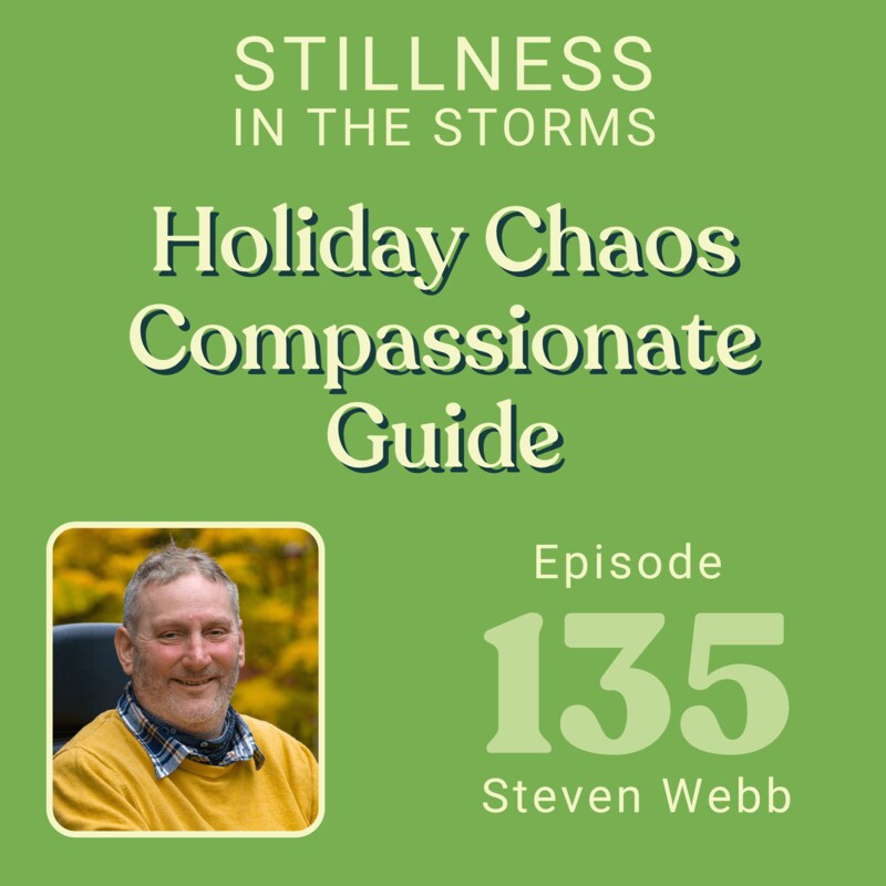 Artwork for podcast Stillness in the Storms