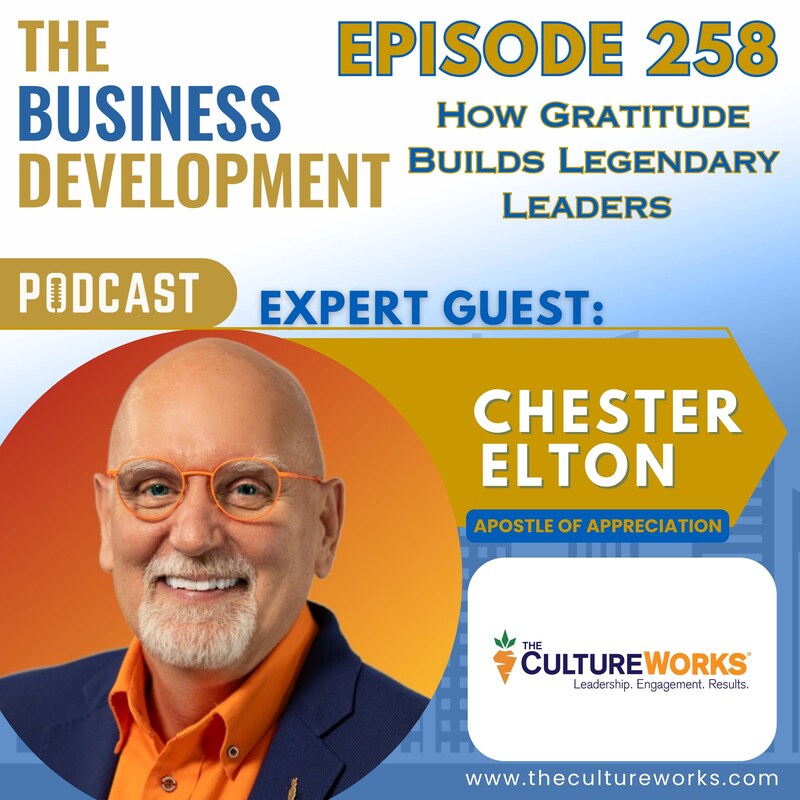 Artwork for podcast The Business Development Podcast
