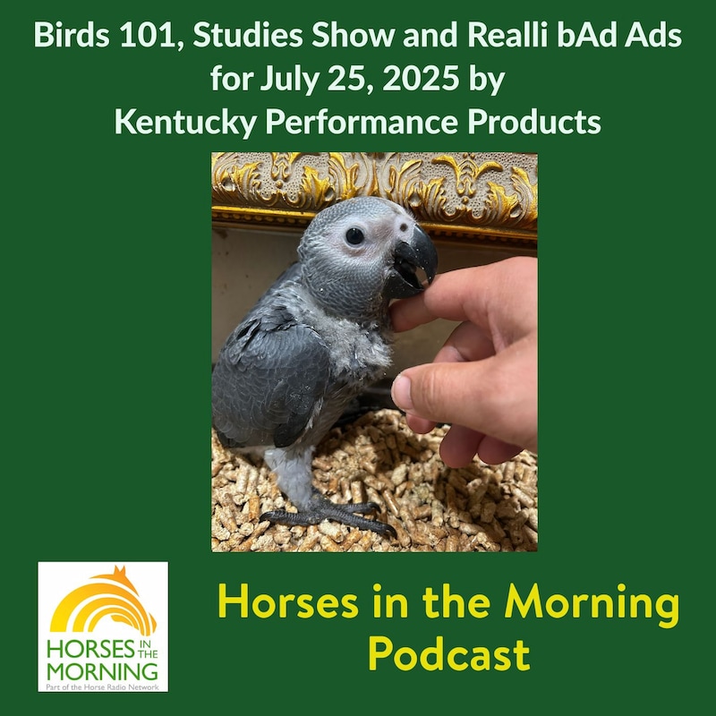 Artwork for podcast HORSES IN THE MORNING