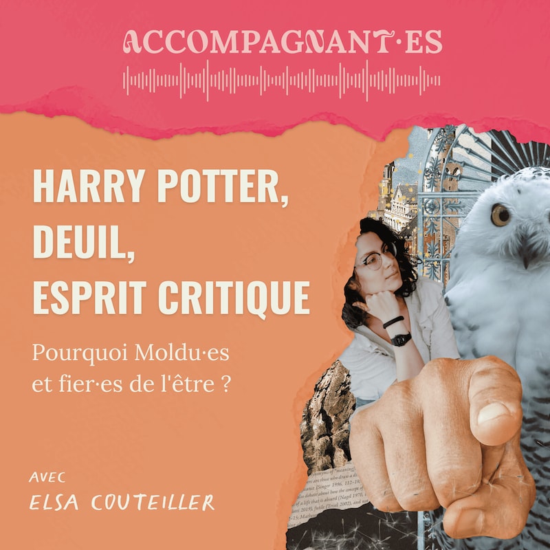 Artwork for podcast ACCOMPAGNANT·ES