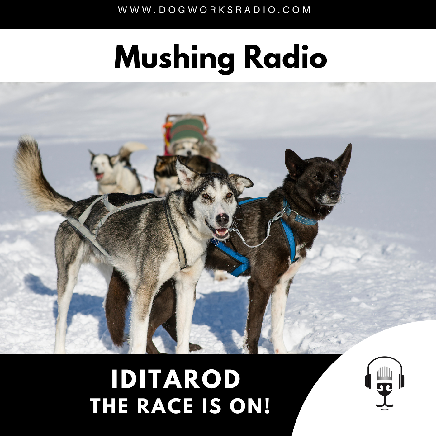 The Race is On! | Iditarod 2023
