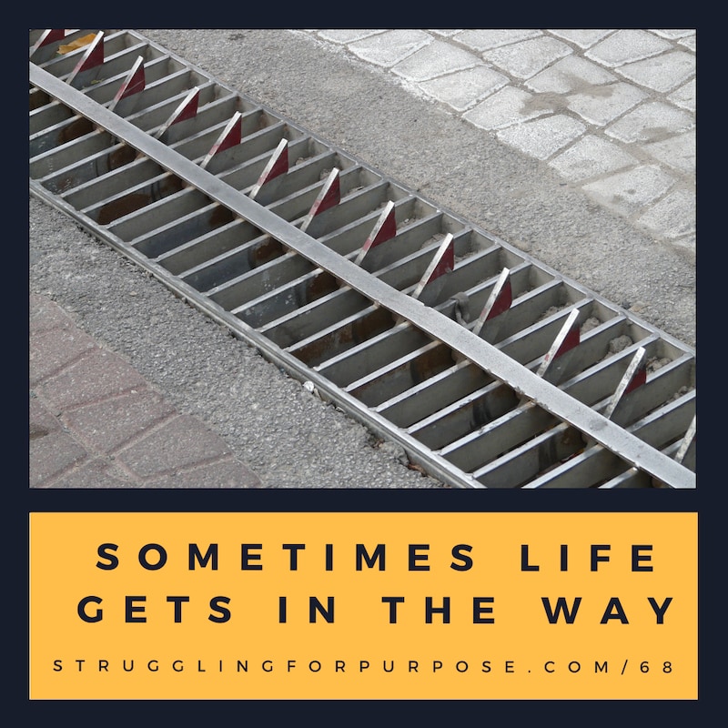 Artwork for podcast Struggling for Purpose