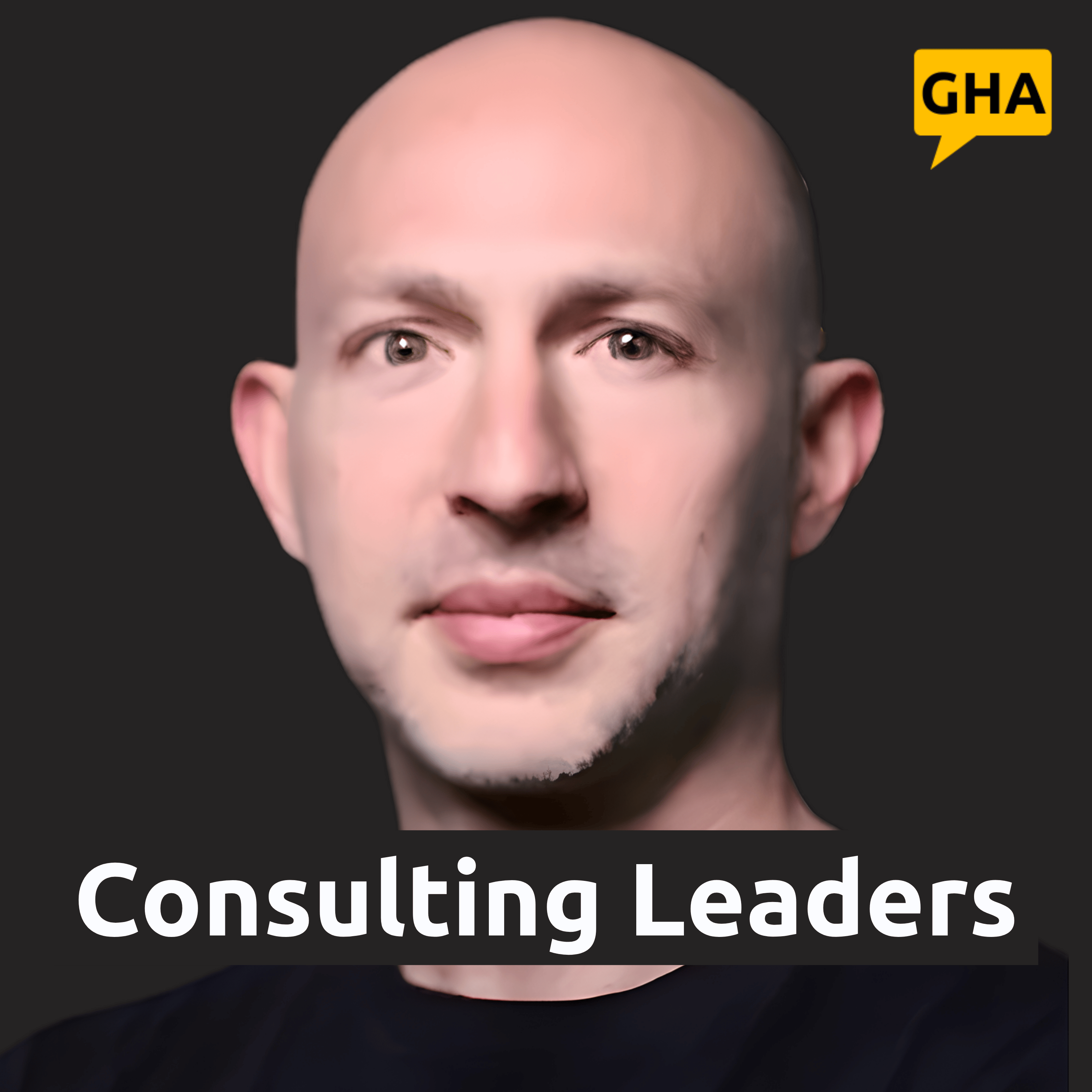 Consulting Leaders