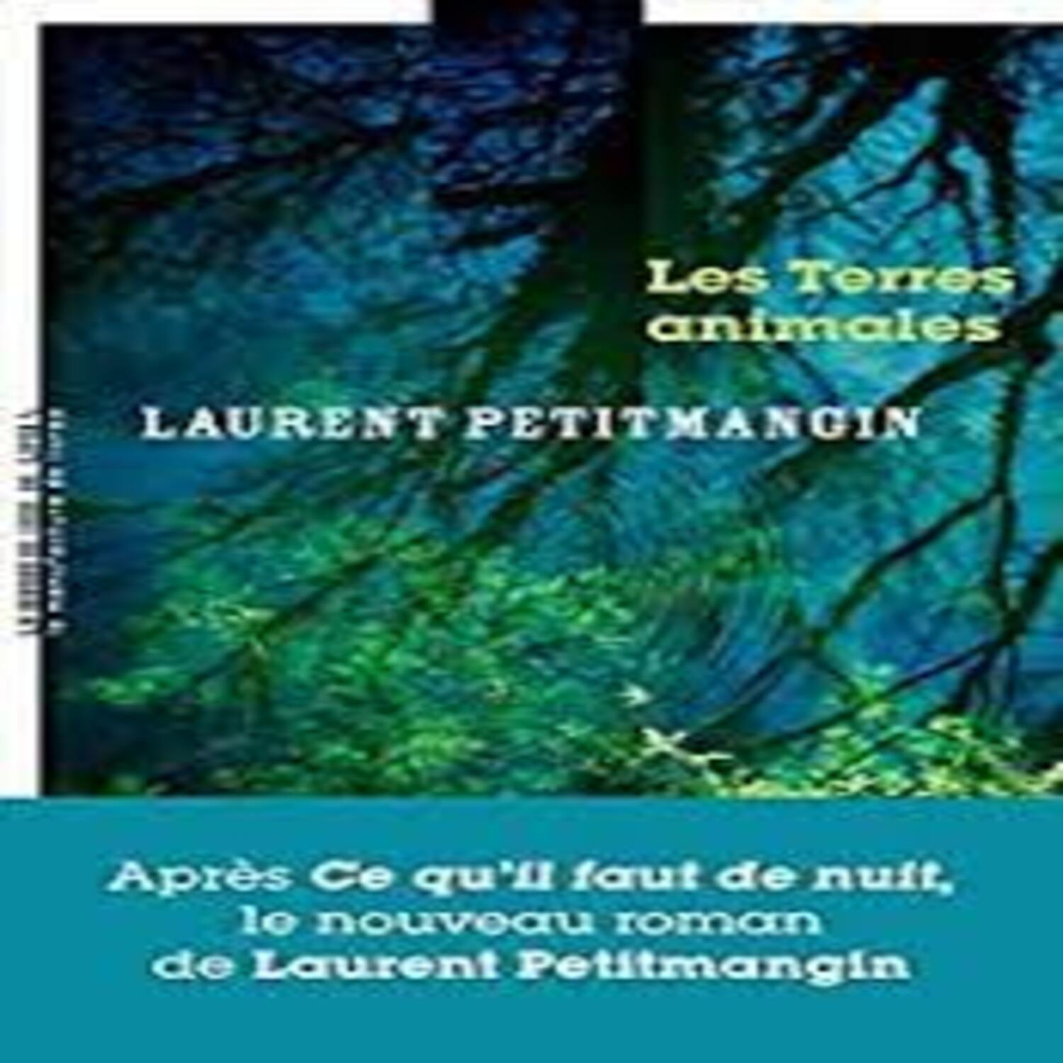 chronique du livre les terres animales de Laurent Petitmangin RCV99FM episode artwork