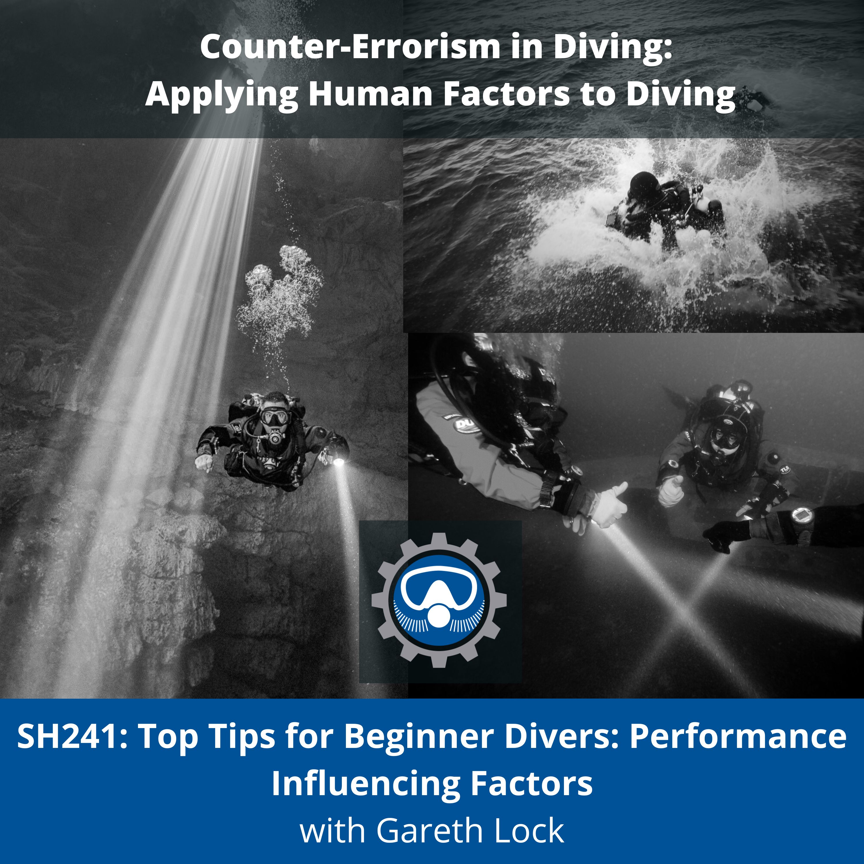 SH241: Top Tips for Beginner Divers: Performance Influencing Factors