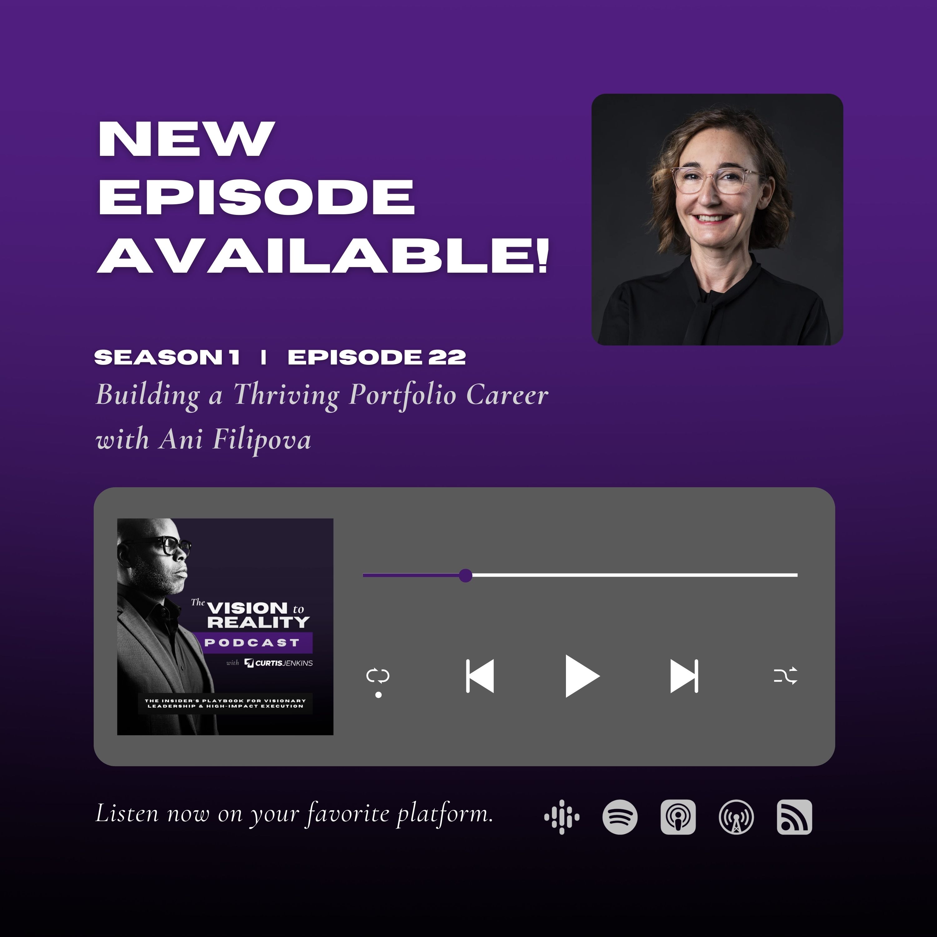 The Vision to Reality Podcast