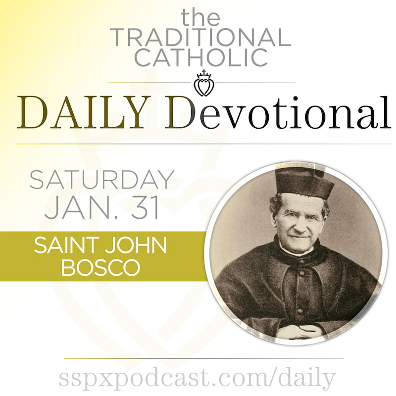 Artwork for podcast Traditional Catholic Daily Devotional