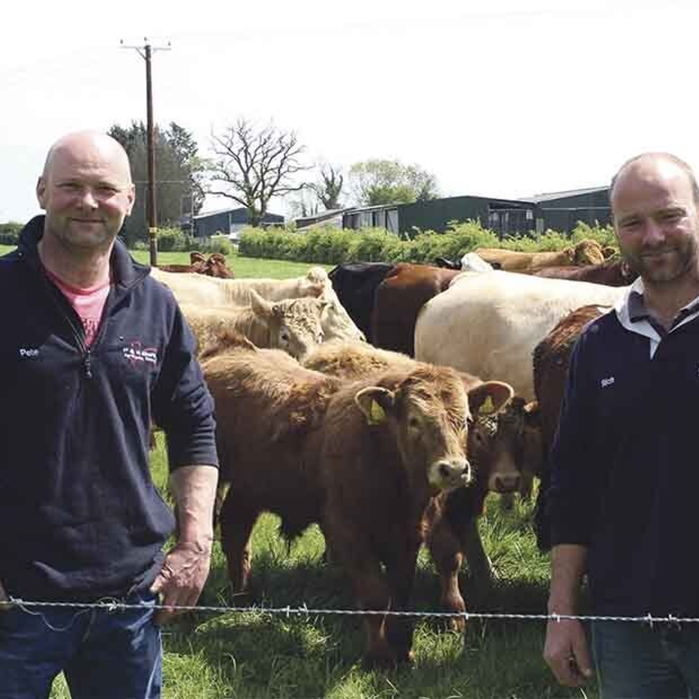 AHDB Food & Farming