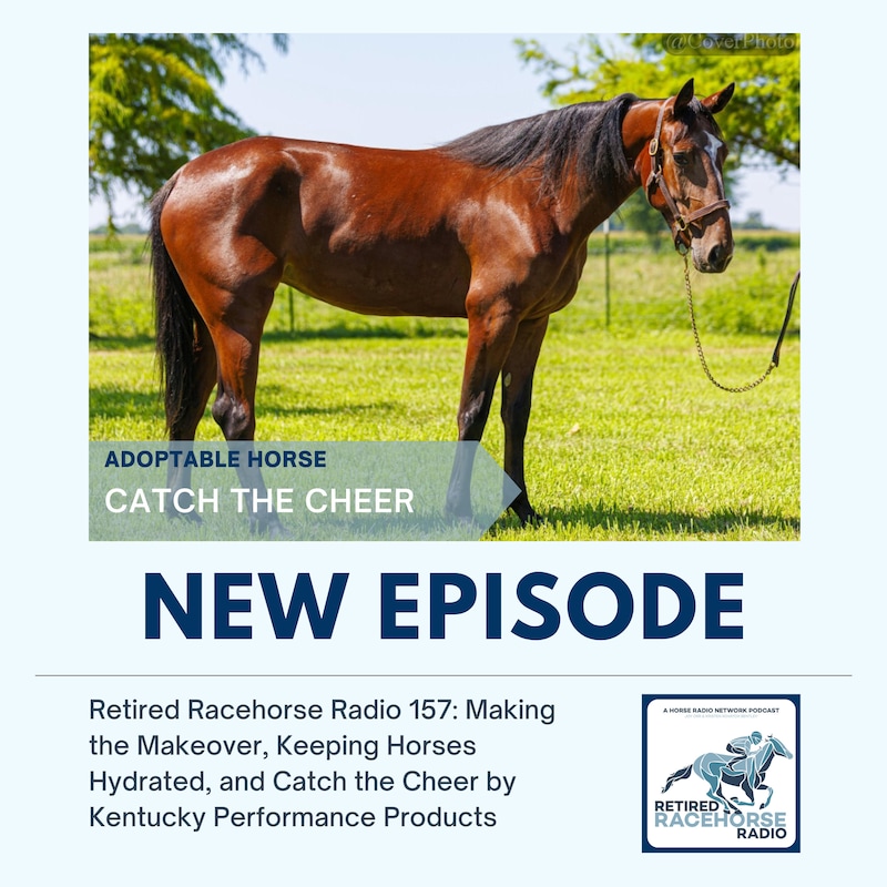 Artwork for podcast Retired Racehorse Radio