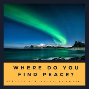 Artwork for podcast Struggling for Purpose