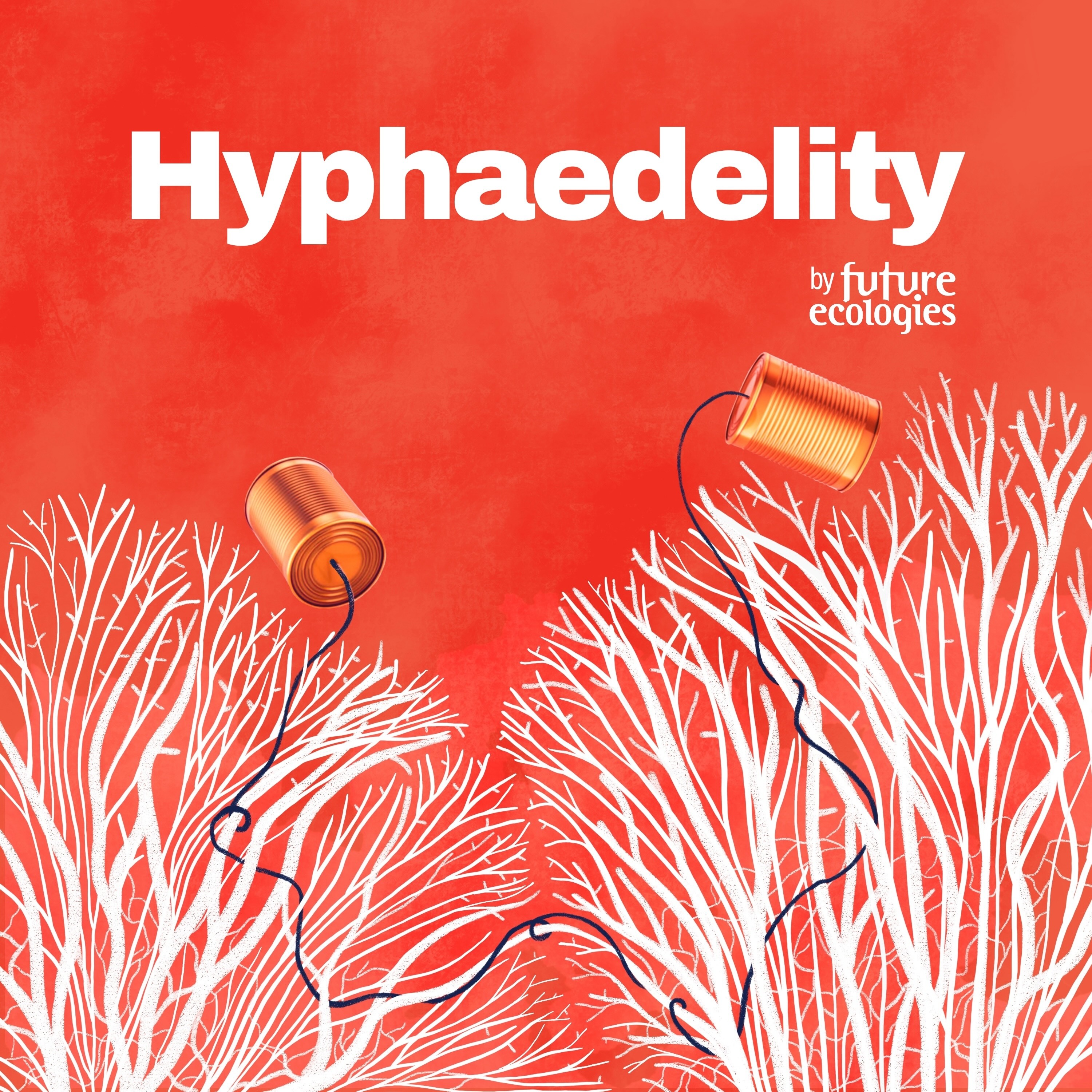 [HYPHAEDELITY] Adam Davis x Tim Male — Non-partisan Environmental Policy