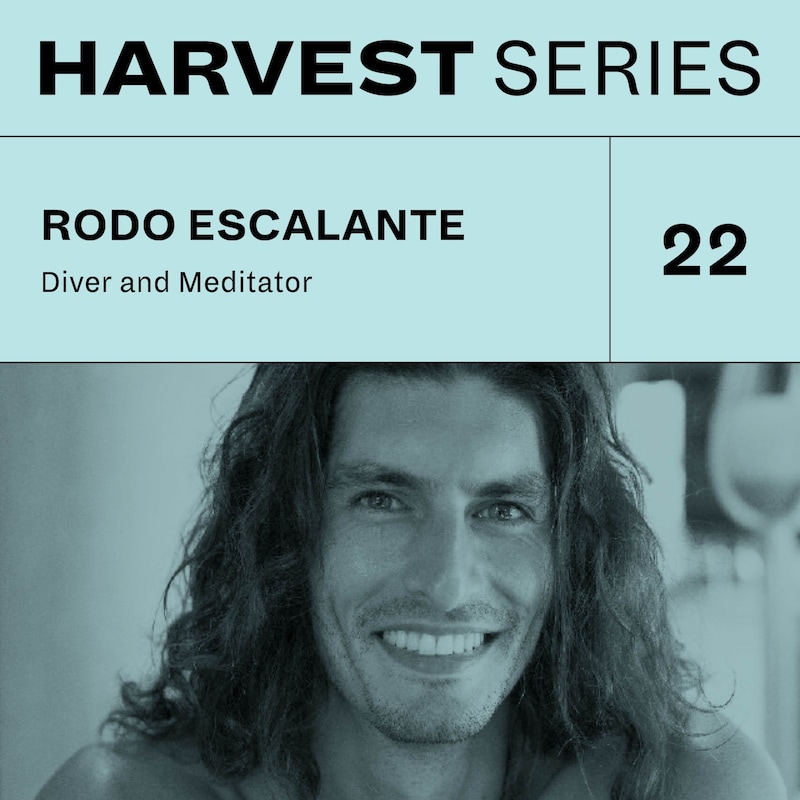 Artwork for podcast Harvest Series