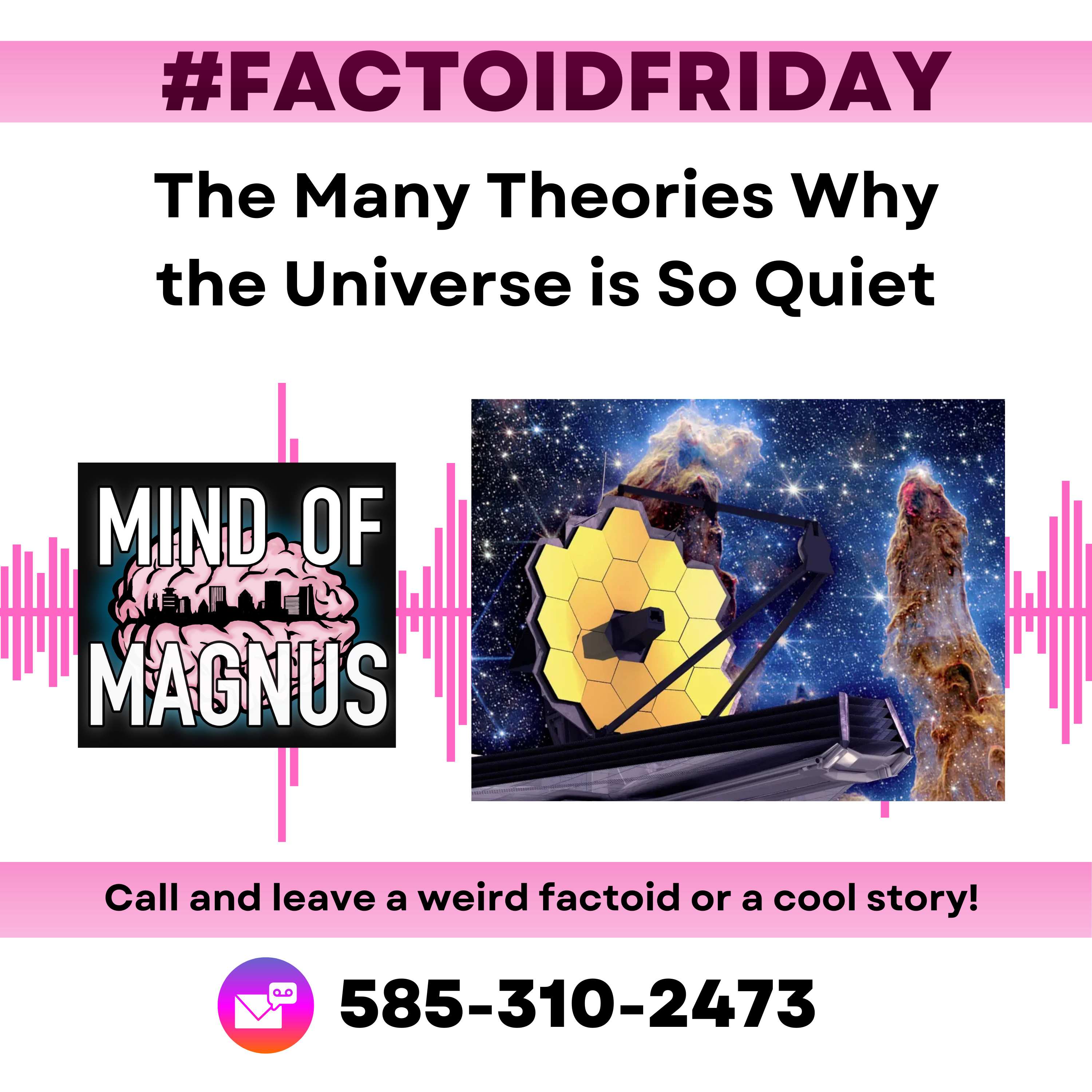Mind Of Magnus