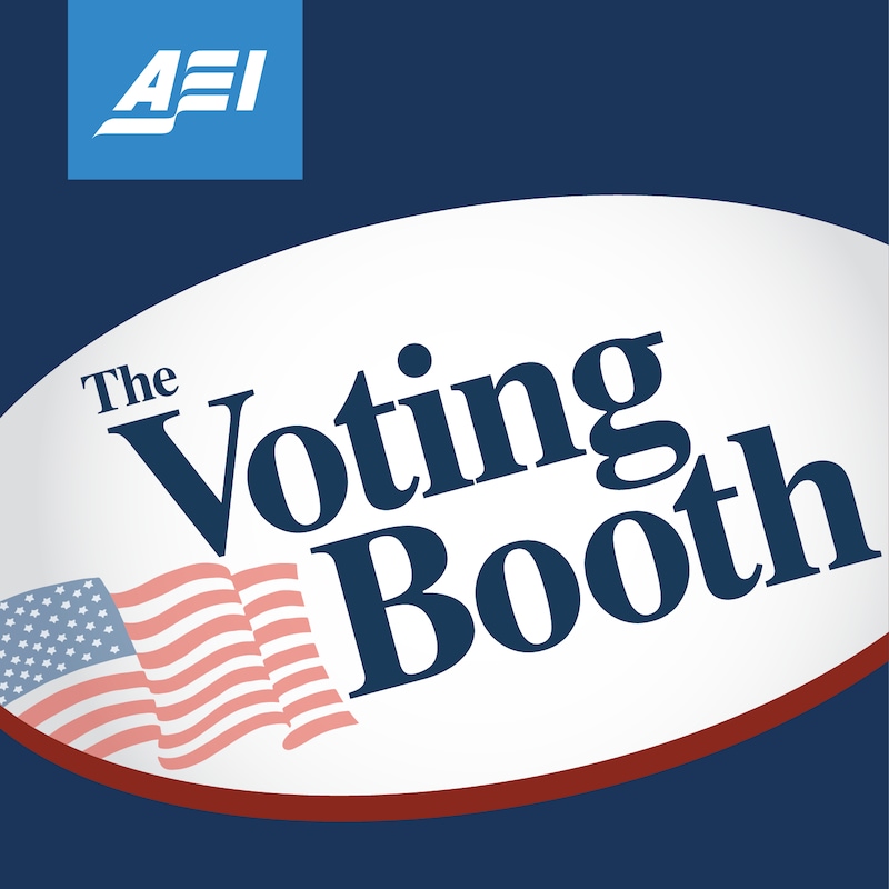 Artwork for podcast The Voting Booth