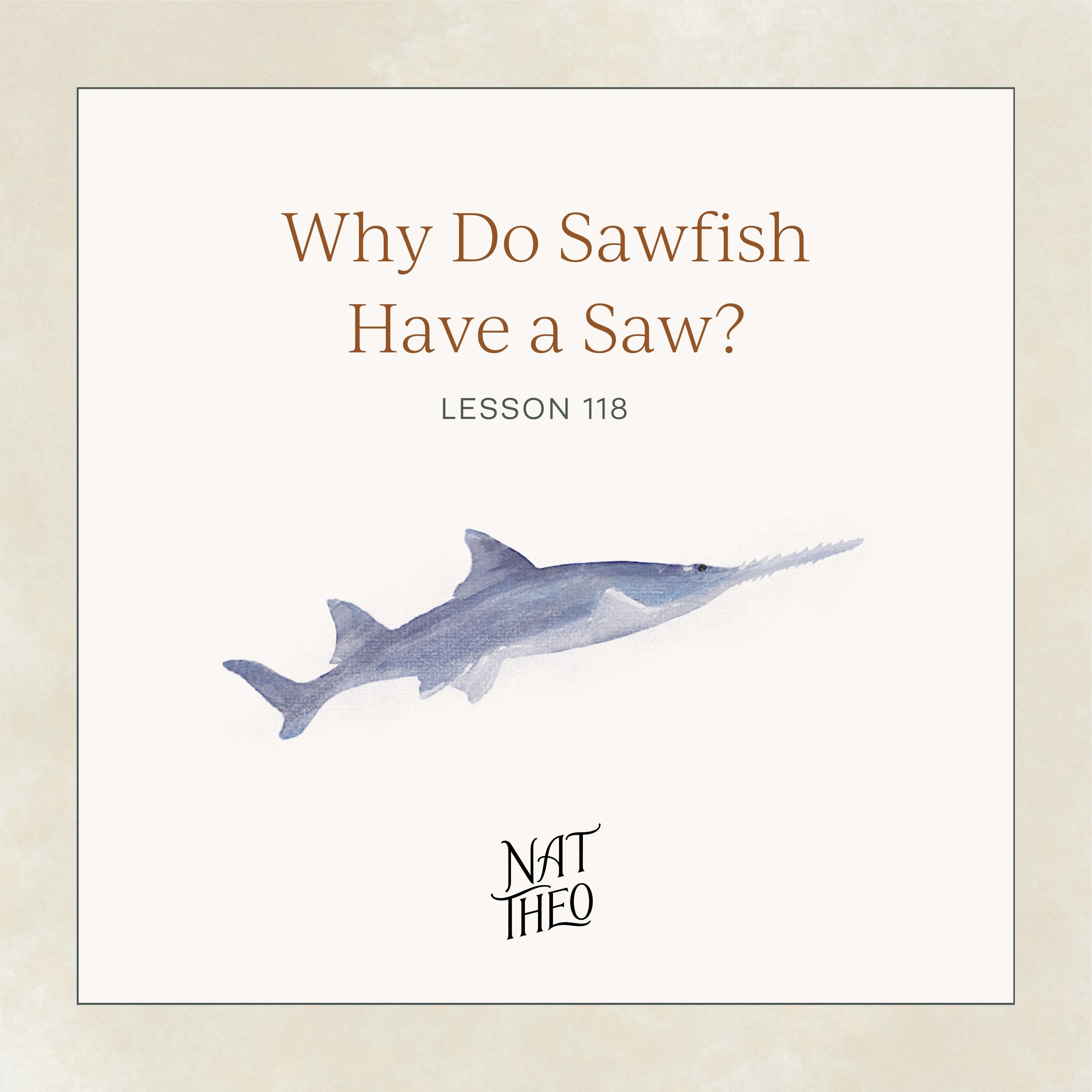 Why Do Sawfish Have a Saw? Lesson 118
