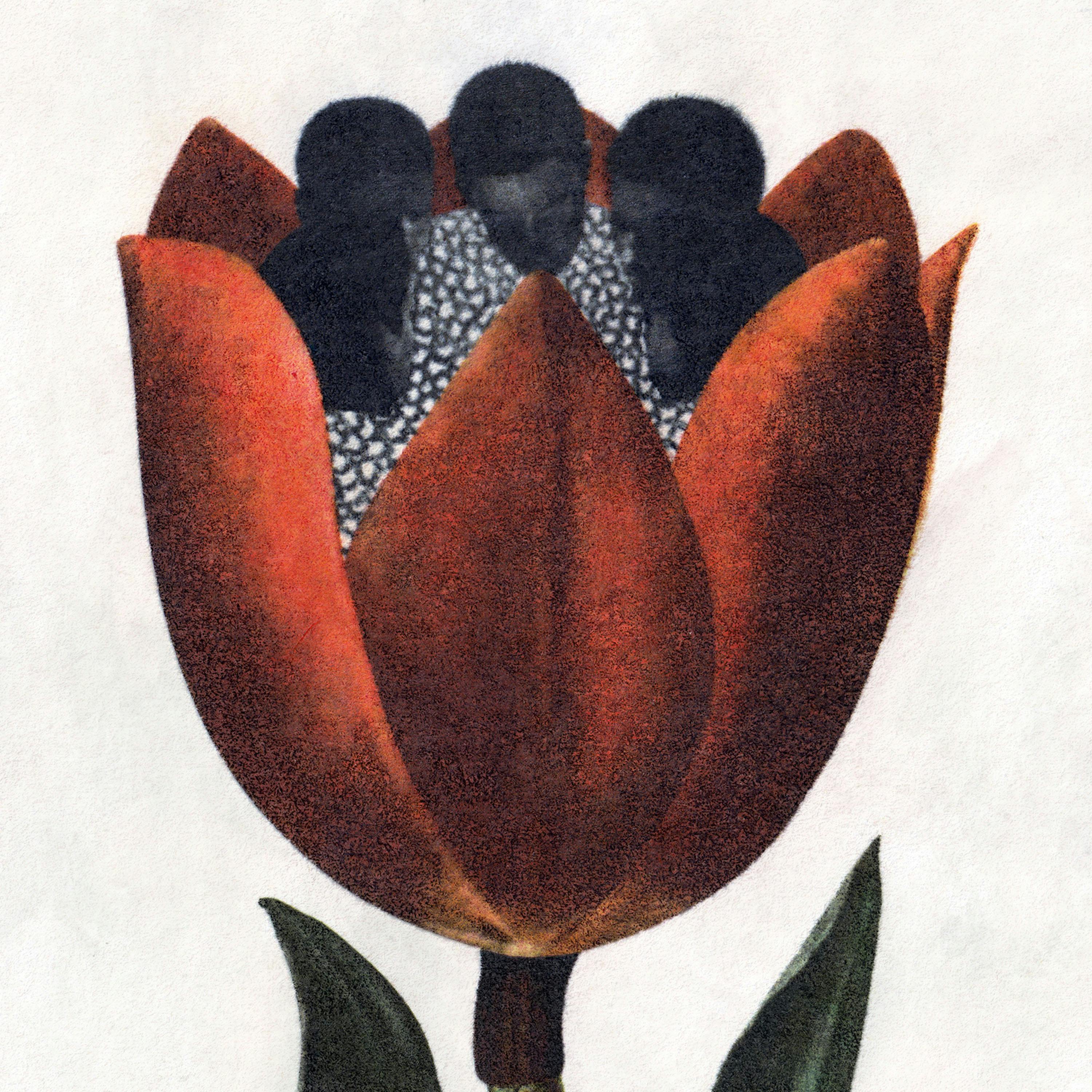 Kinship Time — an Emergence Magazine Practice