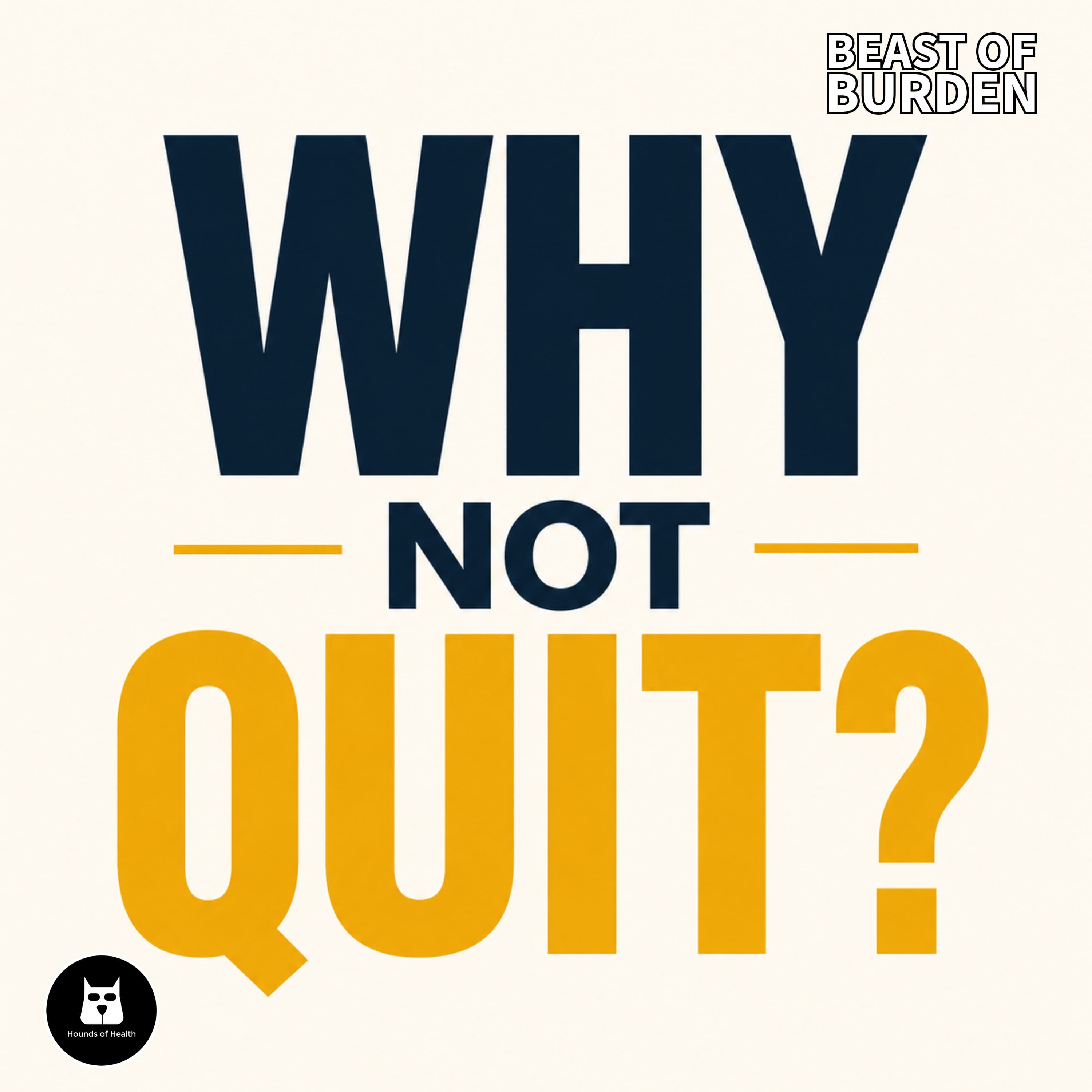 Stop Questioning Your Progress: The Truth About Results episode artwork