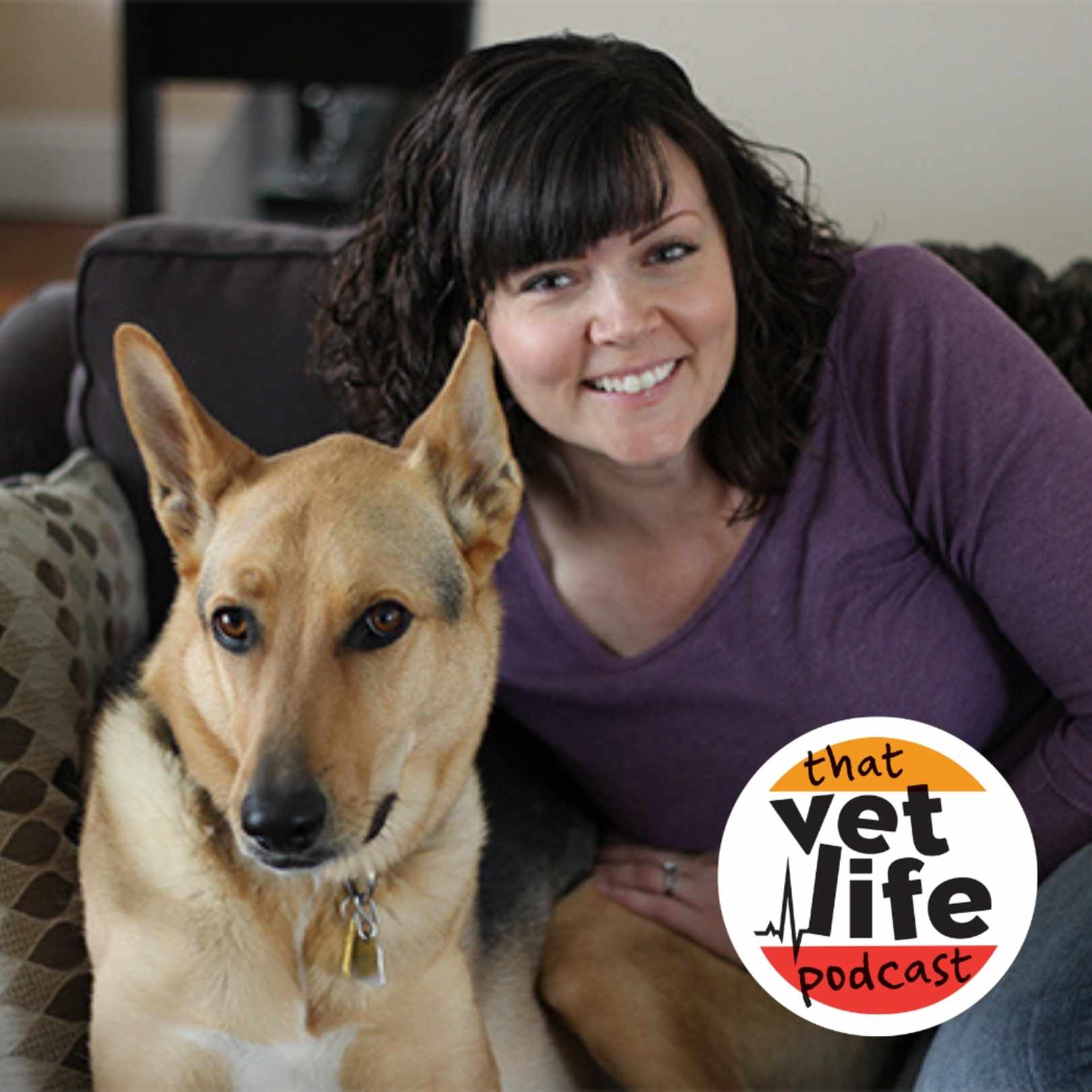 Artwork for podcast The 'So You're A Vet... Now What?' Podcast