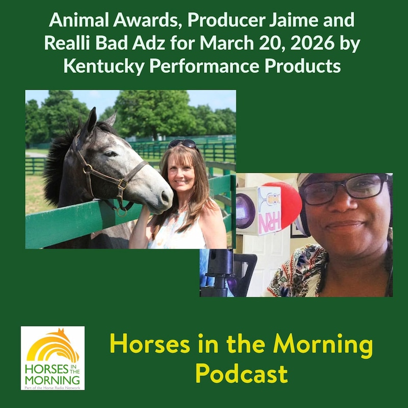 Artwork for podcast Horses in the Morning