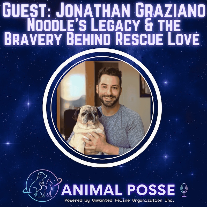 Artwork for podcast Animal Posse