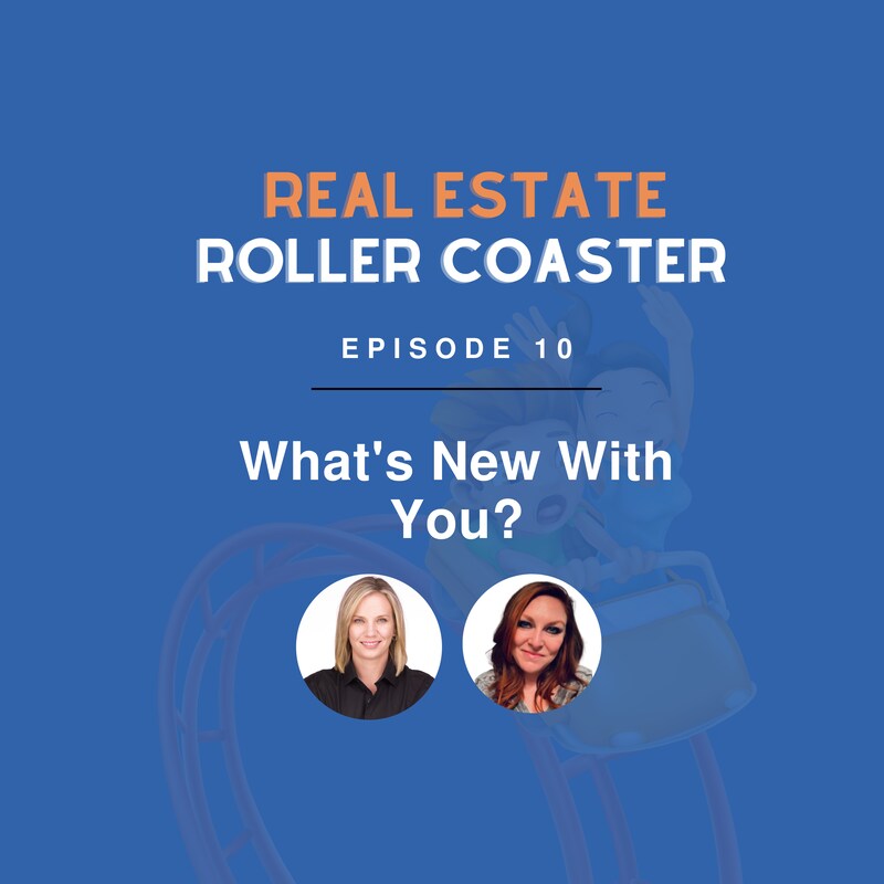 Artwork for podcast Real Estate Roller Coaster