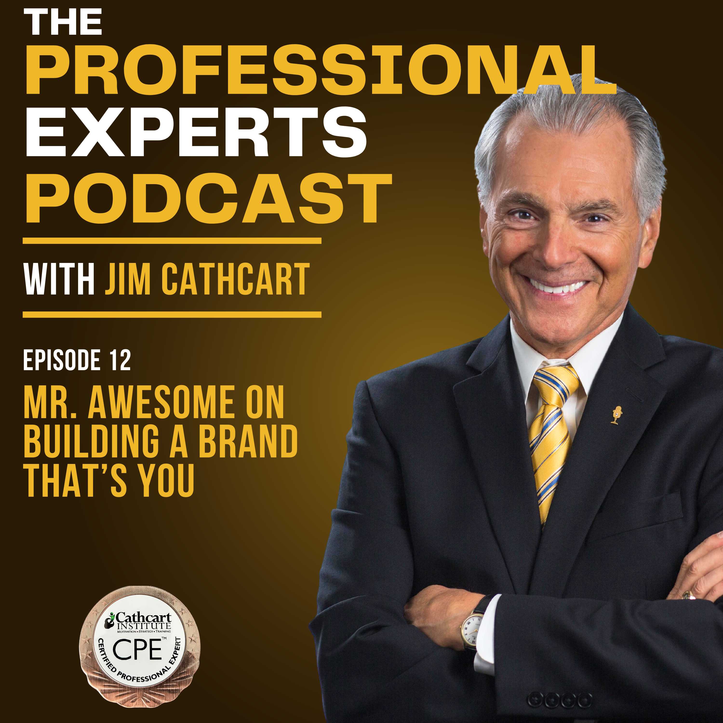 The Professional Experts Podcast