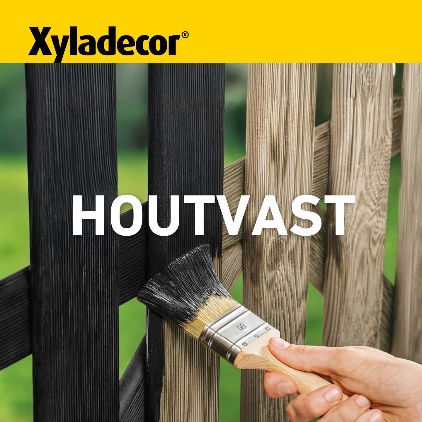 Houtvast