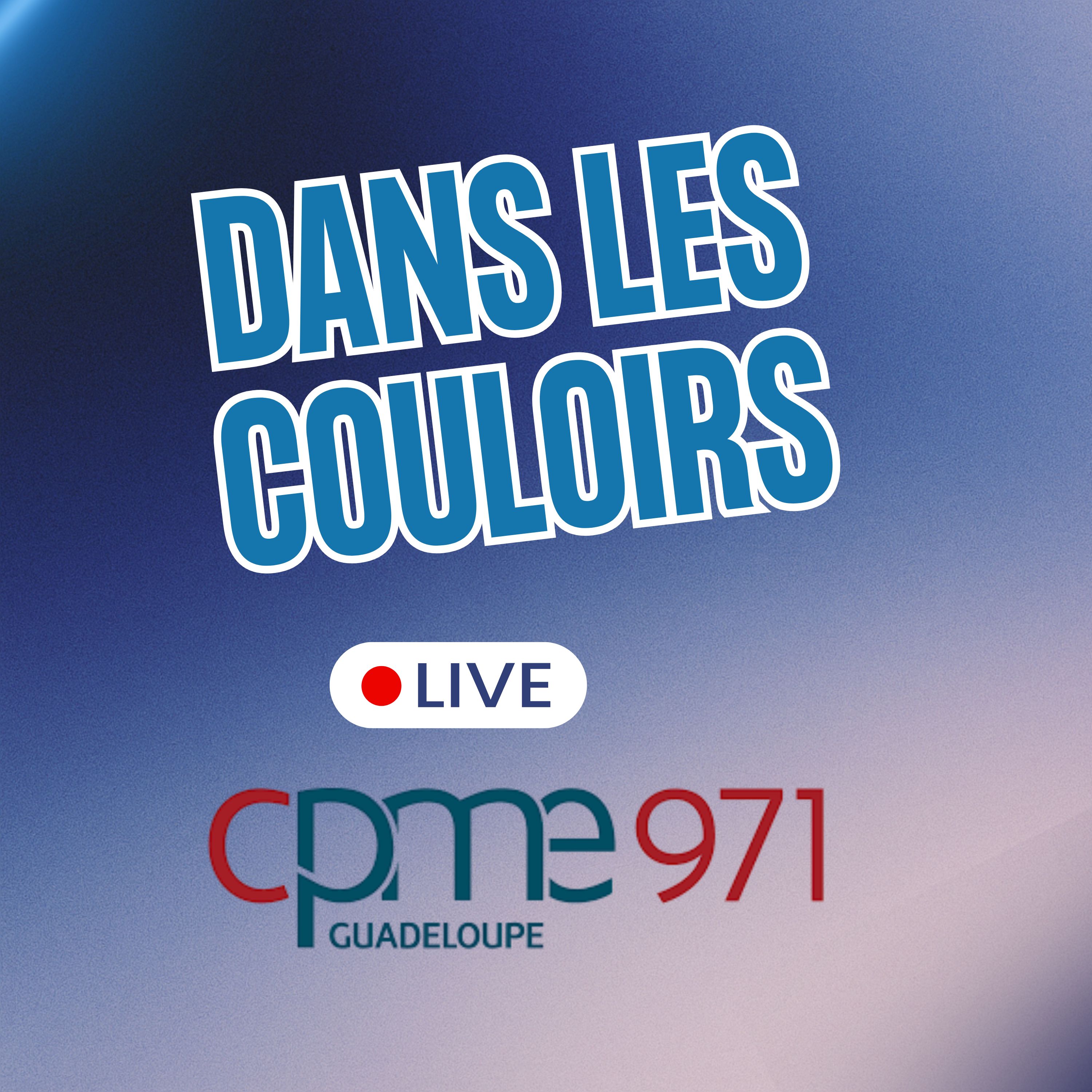 Dans les couloirs podcast artwork